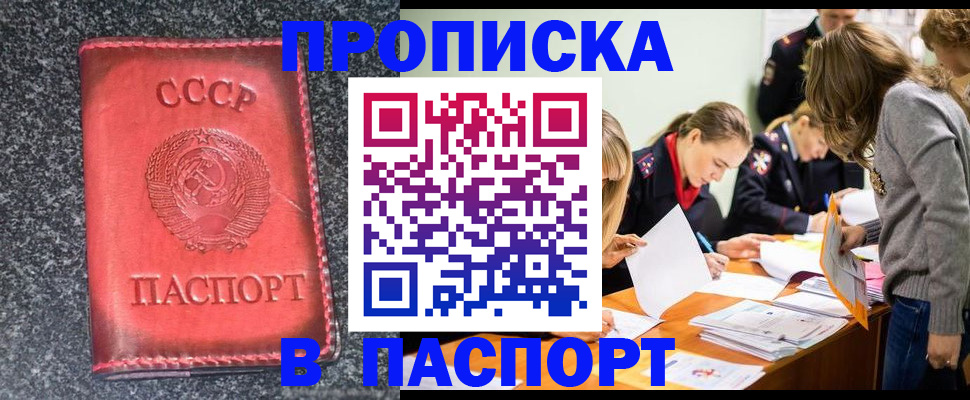 прописка для школы в Курчатове